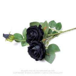 Black Rose Spray (ROSE8) ~ Black Roses | Alchemy England