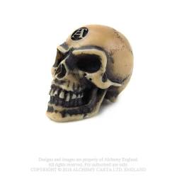 Lapillus Worry Skull (V2) ~ Ornaments | Alchemy England