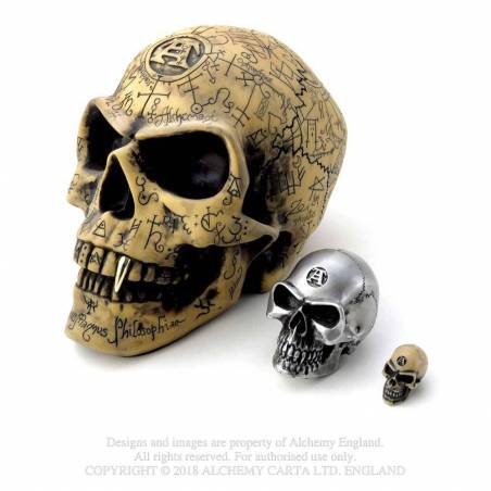 Alchemy Gothic Lapillus Pocket Sized Worry Skull Ornament Trinket 