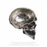 Half Skull Trinket Dish (V60) ~ Caskets & Boxes | Alchemy England