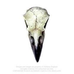 Reliquary Raven Skull (V66) ~ Ornaments | Alchemy England