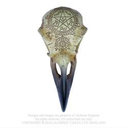 Omega Raven Skull (V67) ~ Ornaments | Alchemy England