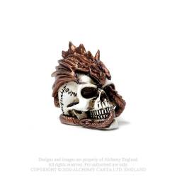 Dragon Keepers Skull:...