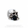 Alchemist Skull: Miniature