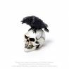 Raven Skull: Miniature (VM7) ~ Ornaments | Alchemy England