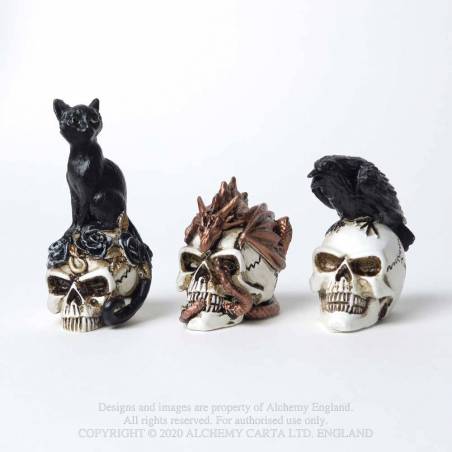 Raven Skull: Miniature