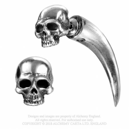 Tomb Skull Horn (E320) ~ Faux Stretchers | Alchemy England