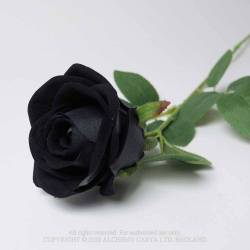 Black Imitation rose (ROSE1) ~ Black Roses | Alchemy England