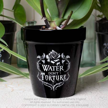Water Don't Torture Plant Pot