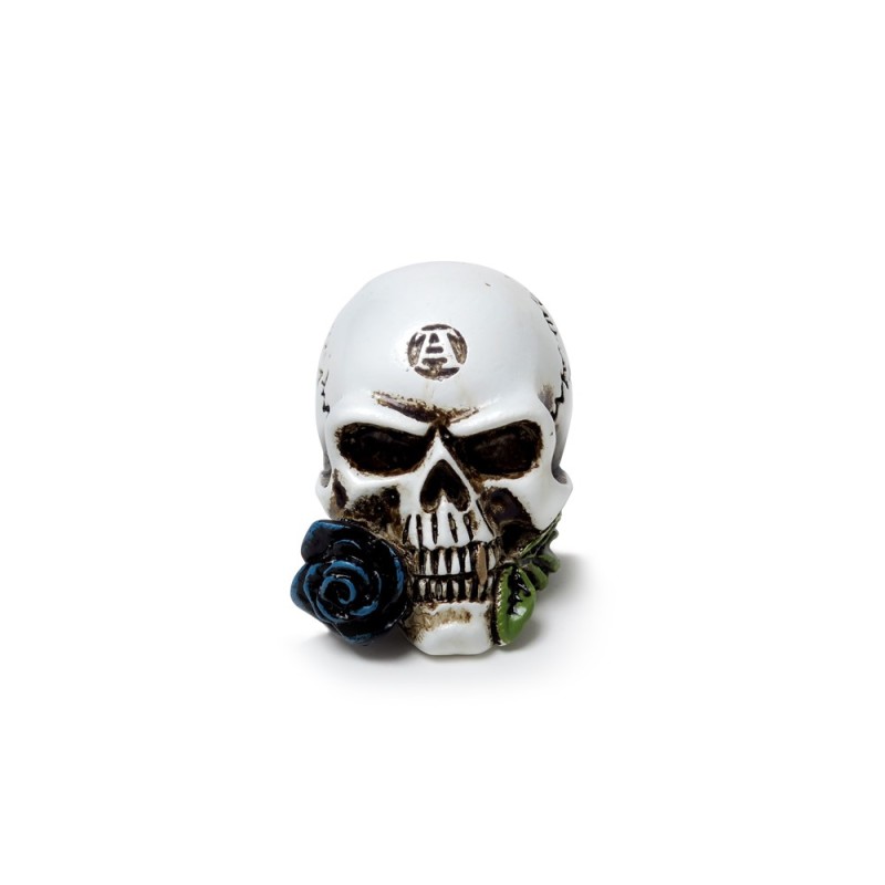 Alchemy England Dragon Keepers Skull: Teschio In Resina Miniatura – Arredo Gotico E Fantasy