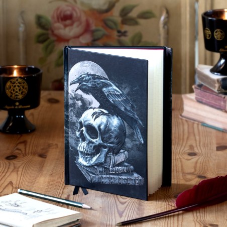 Poe's Raven (Foiled Journal) (ANB1) ~ Notebooks | Alchemy England