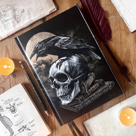 Poe's Raven (Foiled Journal) (ANB1) ~ Notebooks | Alchemy England