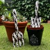 Midnight Garden Cat - Garden Gift Set (GGS2) ~ Garden Gift Set | Alchemy England