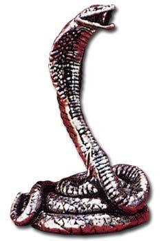 Image for illustrative purposes only