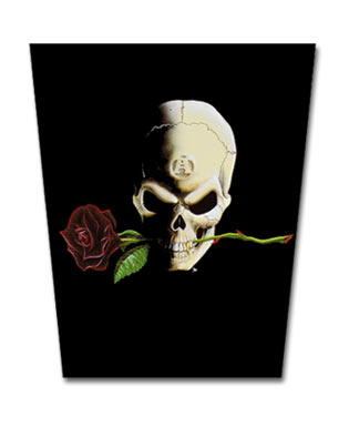 Image for illustrative purposes only