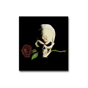 Image for illustrative purposes only