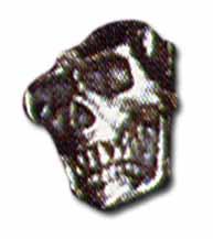 Image for illustrative purposes only