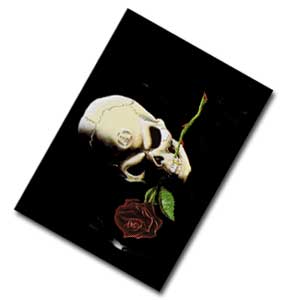 Image for illustrative purposes only