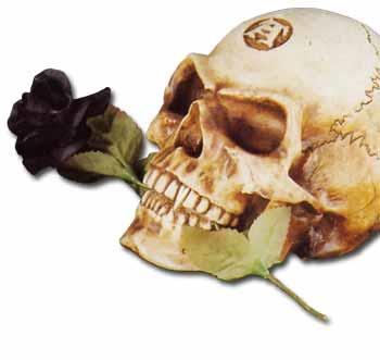 Image for illustrative purposes only