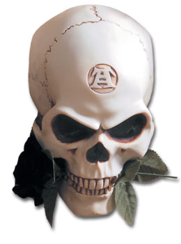 Image for illustrative purposes only