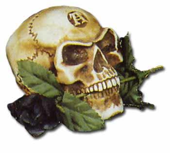 Image for illustrative purposes only