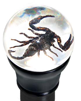 Image for illustrative purposes only