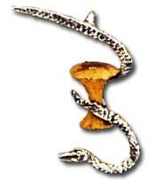 Image for illustrative purposes only