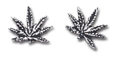 Image for illustrative purposes only