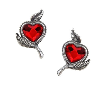 Image for illustrative purposes only