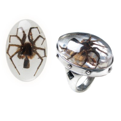 Image for illustrative purposes only