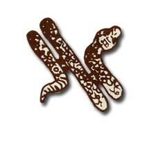 Image for illustrative purposes only