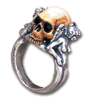 Image for illustrative purposes only