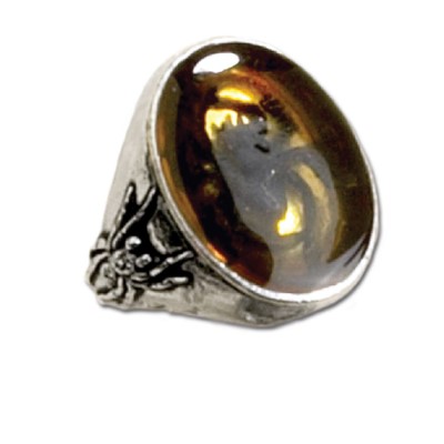 Image for illustrative purposes only