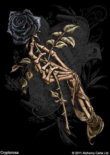 Midnight datipng.docx