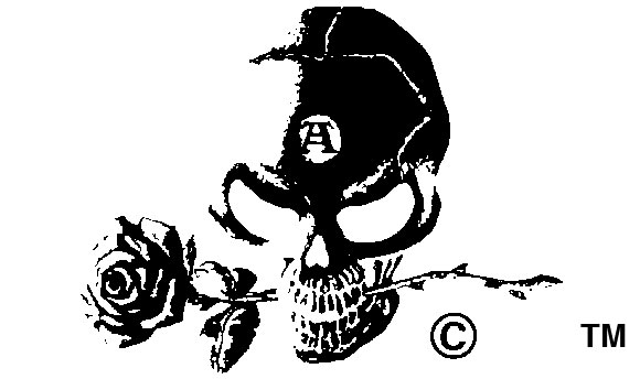 ALCHEMY CARTA Alchemist Skull & Rose Old OG Vtg 1989 Woven Patch Sew On 